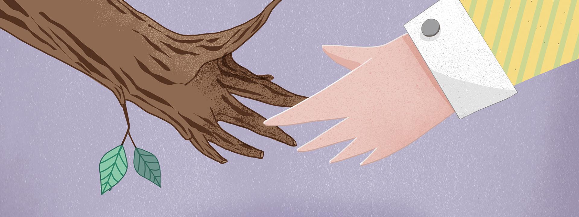 Holz und Wald moneta Cover