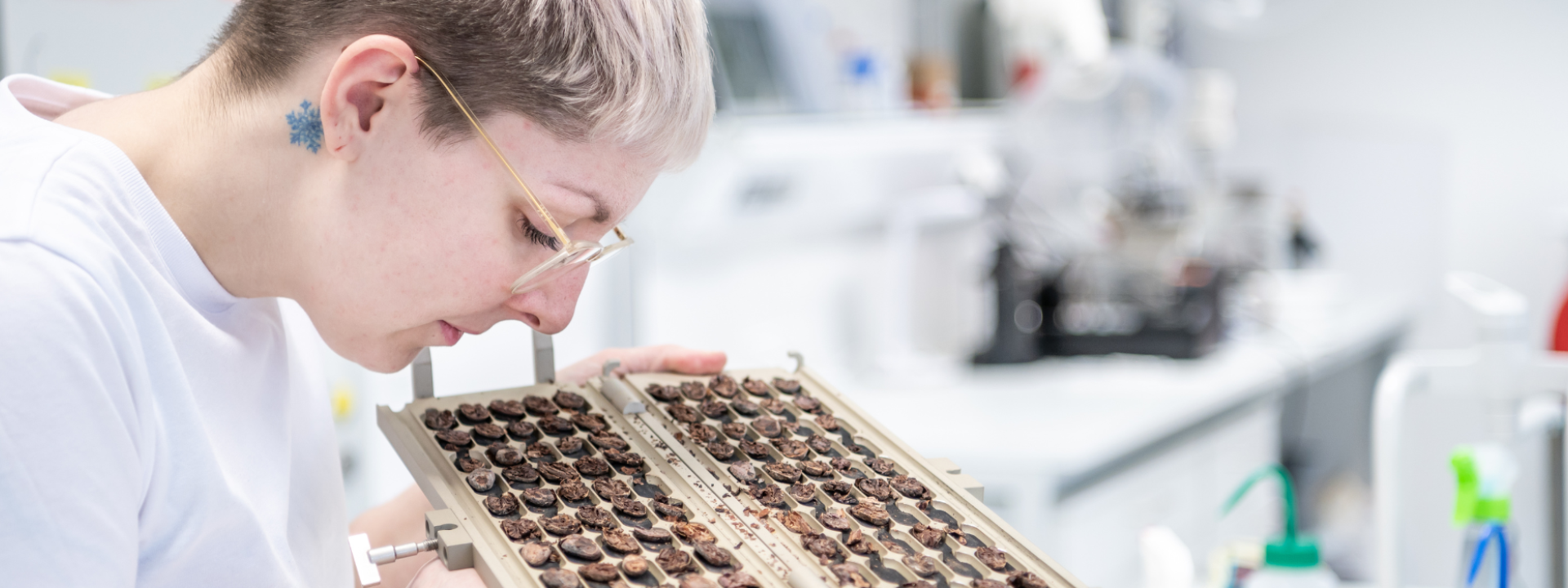 Pronatec: Schokolade testen