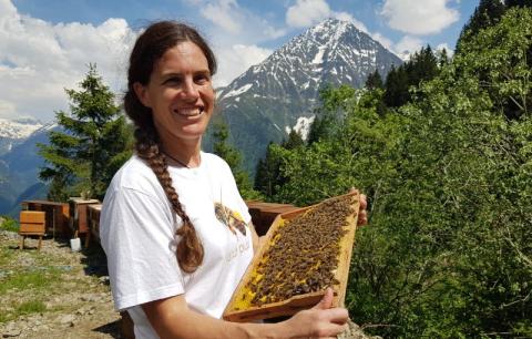 Bergimkerei Achermann