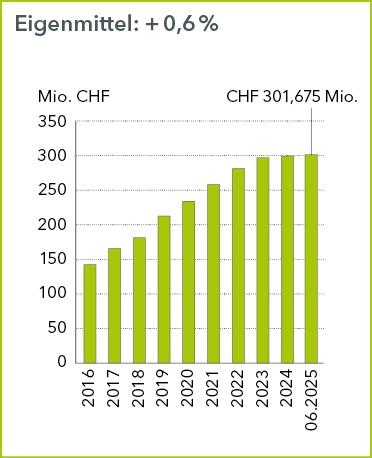 Eigenmittel Juni 2025