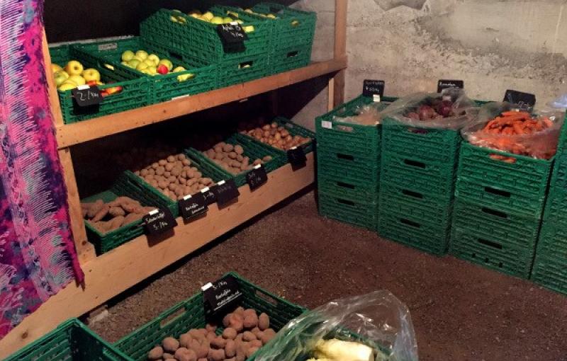 Berner retten Gemüse