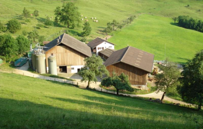 Genossenschaft Bergkäserei Spitzenbühl