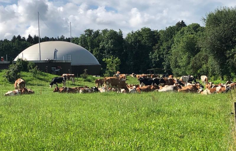 Palézieux Bio-Énergies, Palézieux