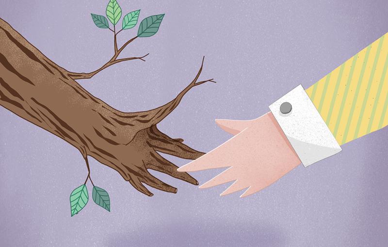 moneta Holz und Wald Cover